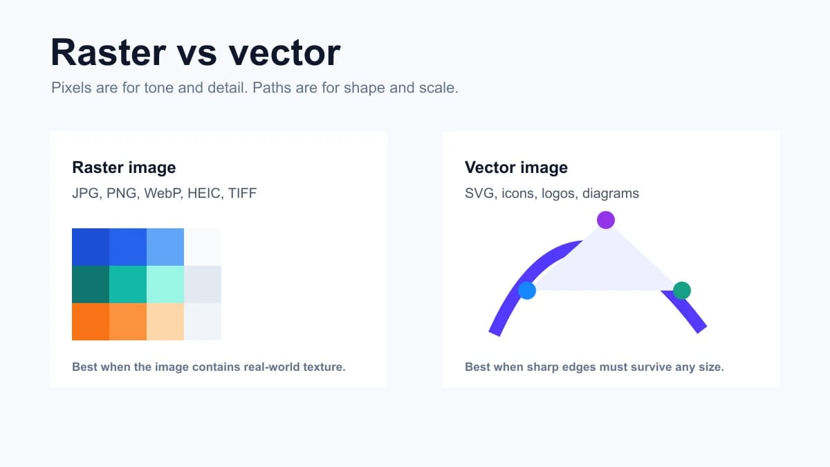 Raster and vector image format comparison with pixel grid and vector curve
